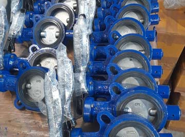 Stainless Steel Valve Manufacturer in India